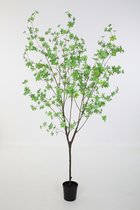 Flora Arte - Kunstplant - Kunstboom - Dodan Tree - Kunstboompje - Groen - 190 cm