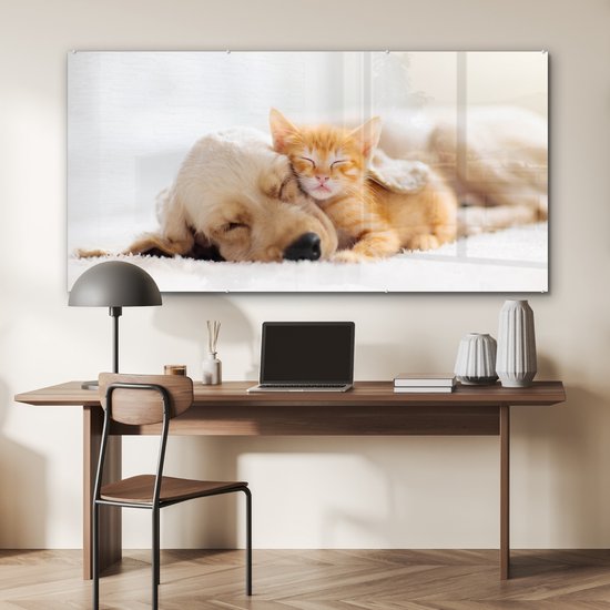 Peinture sur verre - Photo sur verre - Chat - Chien - Chat - Chaton - Couverture - Animaux - Décoration murale - 160x80 cm - Verre acrylique - Peinture animaux - Décoration murale - Peinture sur verre