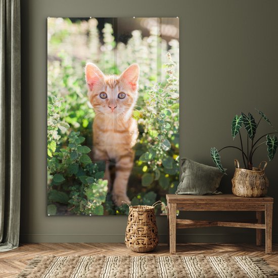 MuchoWow® Peinture sur verre 100x150 cm - Peinture sur verre acrylique - Un portrait d'un chaton dans les buissons - Photo sur verre - Peintures
