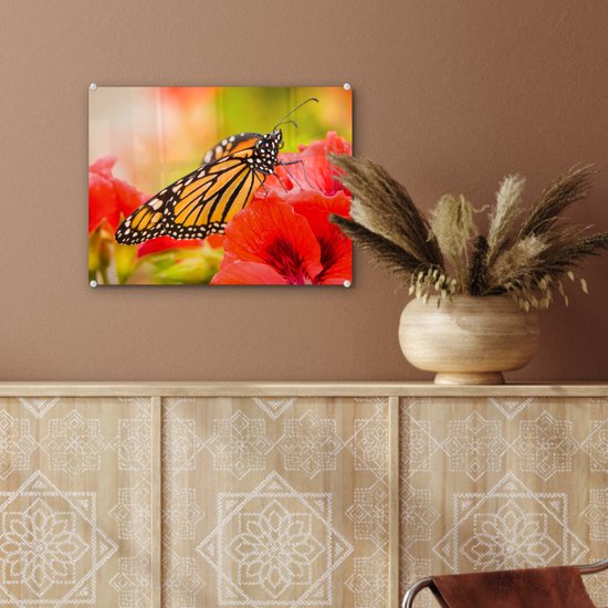 MuchoWow® Peinture sur verre 40x30 cm - Peinture acrylique sur verre - Fleurs - Papillons - Monarque - Photo sur verre - Peintures