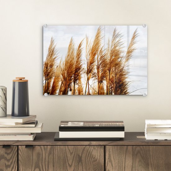 MuchoWow® Peinture sur verre 30x20 cm - Peinture acrylique sur verre - Herbe de la pampa - Soleil - Herbe - Photo sur verre - Peintures