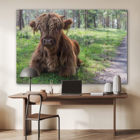 MuchoWow® Glasschilderij 180x120 cm - Schilderij acrylglas - Schotse Hooglander - Pad - Dieren - Foto op glas - Schilderijen