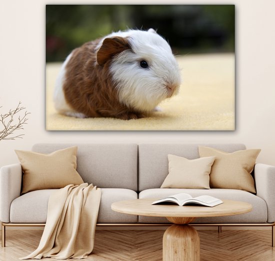 Peinture sur toile Jeune cochon d'Inde - 140x90 cm - Décoration murale