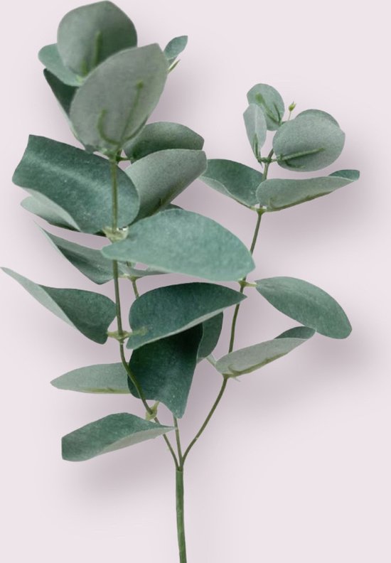 Zijden kunstbloem Eucalyptus Tak | Groen/Grijs | Lengte 28 centimeter
