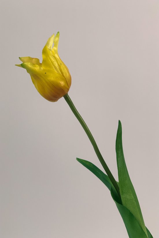 Zijden kunstbloem Tulp | Geel | Lengte 40 centimeter