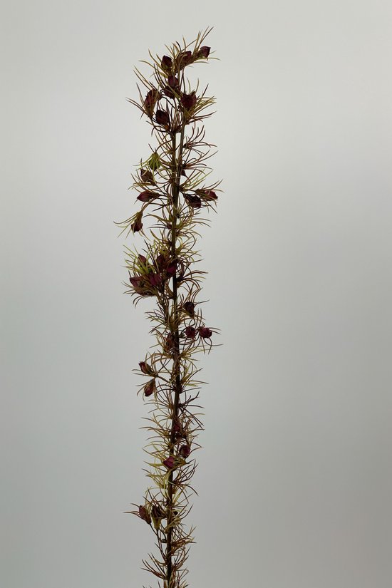 Zijden kunstbloem Boronia| Bordeaux | Lengte 80 centimeter