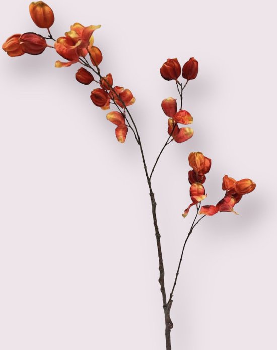 Zijden kunstbloem Pronkboon | Rood | Lengte 83 centimeter