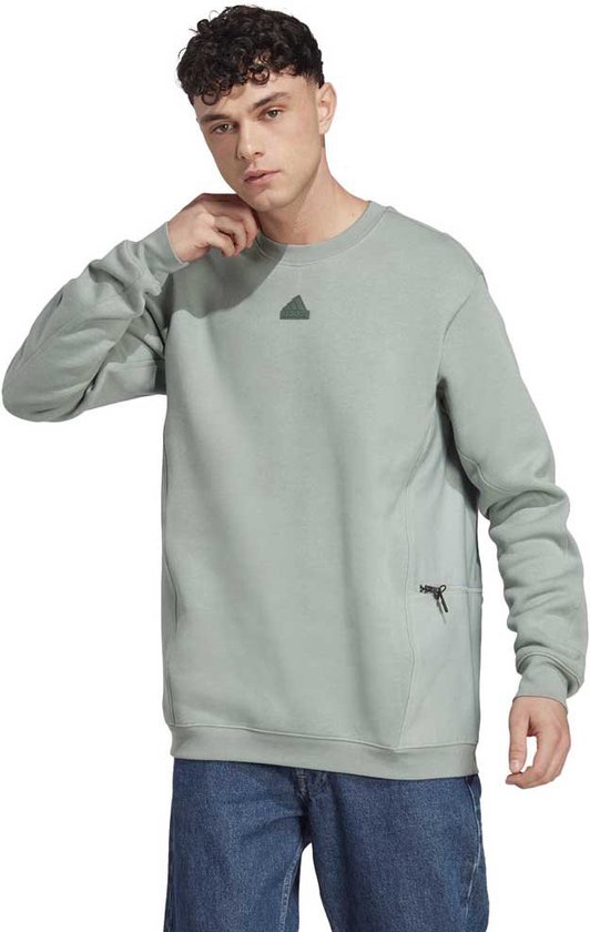 Adidas Ce Sweatshirt Grijs / Regular Man