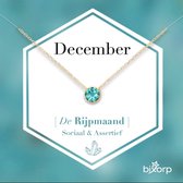 Bixorp Geboortesteen Ketting December - 18k Goud Verguld Roestvrij Staal met Zirkonia Hanger - Stainless Steel - Tanzaniet