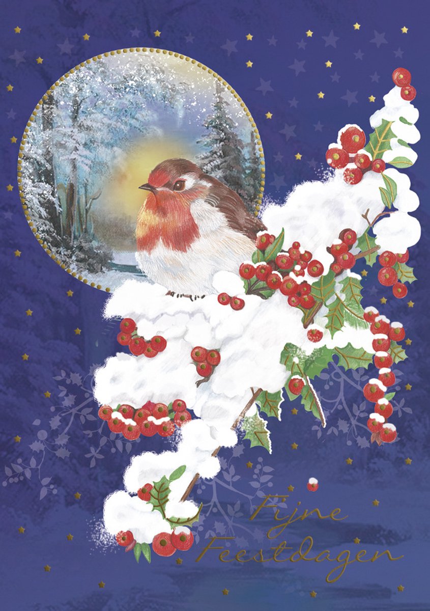 Kaarten - Kerst - Hangpak - Roodborst op hulst - 10st. - HPK.1029