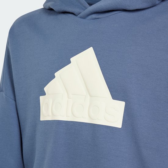 adidas Sportswear Future Icons Logo Sweatshirt met Capuchon - Kinderen - Blauw- 176