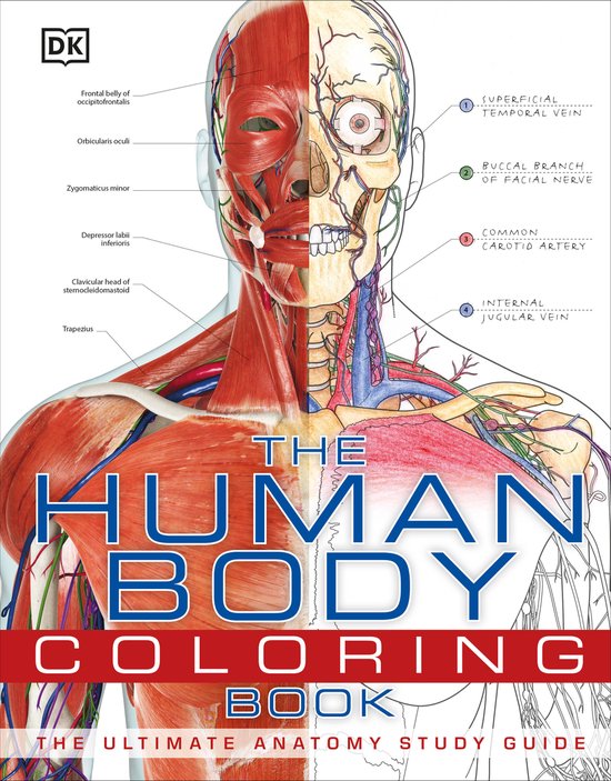 Livre 'The Human Body Coloring Book' avec des illustrations anatomiques du corps humain, étiqueté 'DK'.