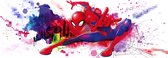 Fotobehang - Spider-Man Graffiti Art 368x127cm - Papierbehang