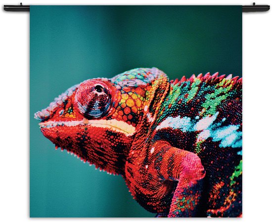Velours Wandkleed Kameleon Kleurrijk Rechthoek Vierkant M (90 X 90 CM) - Wandkleden - Met roedes