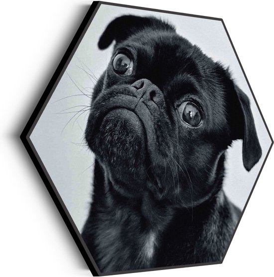 Décoration Murale Hexagone Lot De 12 Panneaux Acoustiques Hexagonaux - Isolation Phonique Facile Pour Studio Et Bureau Panneaux Mousse Haute Densité