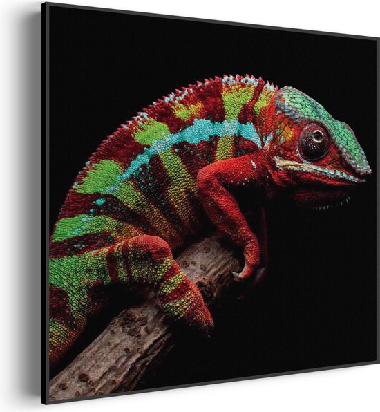 Akoestisch Schilderij De Kameleon Vierkant Basic XL (100X100) - Akoestisch paneel - Akoestische Panelen - Akoestische wanddecoratie - Akoestisch wandpaneel