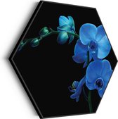 Akoestisch Schilderij Orchidee Hexagon Basic XL (140 X 121 CM) - Akoestisch paneel - Akoestische Panelen - Akoestische wanddecoratie - Akoestisch wandpaneel