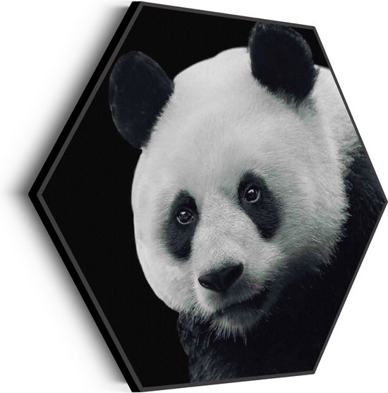 Akoestisch Schilderij Pandabeer Zwart Wit 02 Hexagon Basic M (60 X 52 CM) - Akoestisch paneel - Akoestische Panelen - Akoestische wanddecoratie - Akoestisch wandpaneel