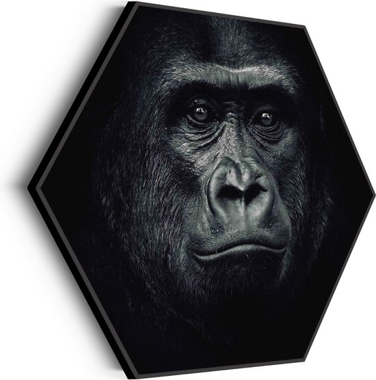 Akoestisch Schilderij De Gorilla Aap Hexagon Basic L (100 X 86 CM) - Akoestisch paneel - Akoestische Panelen - Akoestische wanddecoratie - Akoestisch wandpaneel