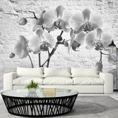 Fotobehangkoning - Behang - Vliesbehang - Fotobehang Grijze Orchideeën - Bloemen - Orchid in Shades of Gray - 350 x 245 cm