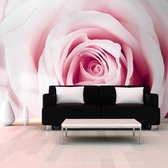 Fotobehangkoning - Behang - Vliesbehang - Fotobehang Roos - Rose maze - 150 x 105 cm