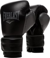 Everlast Powerlock 2 Training Gloves Hook & Loop