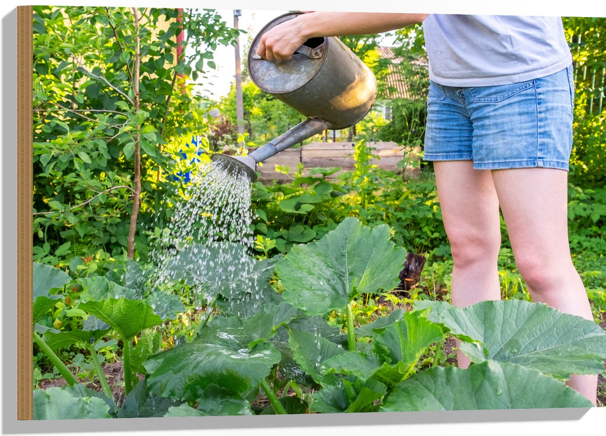 Hout - Tuin - Bloemen - Planten - Gieter - Water - Groen - 75x50 cm - 9 mm dik - Foto op H