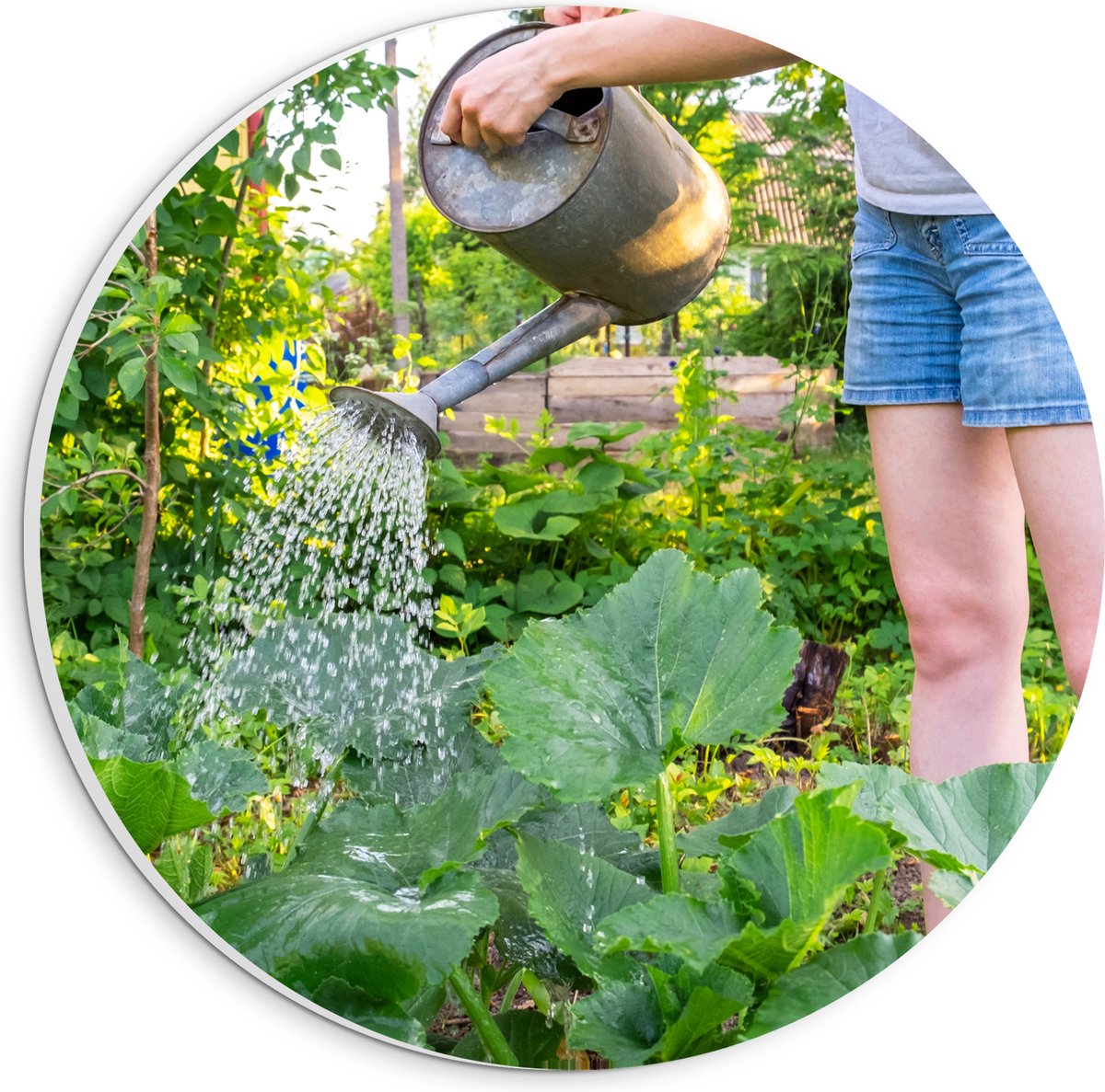 PVC Schuimplaat Muurcirkel - Tuin - Bloemen - Planten - Gieter - Water - Groen - 20x20 cm