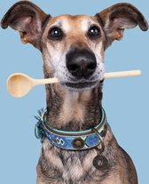 DWAM Dog with a Mission – Halsband Hond – Hondenhalsband – Blauw – L – Leer – Halsomvang tussen 38-47 x 4 cm – Boho Juan