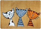 Ontwerper Deurmat voor Voordeur, Gang, Binnen- en Buitenmatten, Antislip en Wasbare Praktische Vuilvanger Mat - Katten Deurmat, 50 x 70 cm