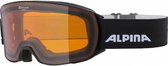 Alpina Nakiska DH Goggles, zwart/oranje