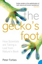 Geckos Foot