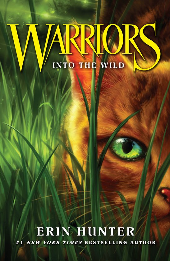 Warrior Cats Into The Wild - cover