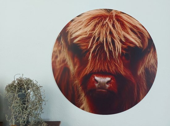 Artaza Dibond Muurcirkel Schotse Hooglander Koe In De Wei - 70 Cm Wandcirkel Rond Schilderij Voor Binnen En Buiten