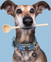 DWAM Dog with a Mission Halsband Hond – Hondenhalsband – Blauw– M – Leer – Halsomvang tussen 32-39 x 2,5 cm – Boho Juan