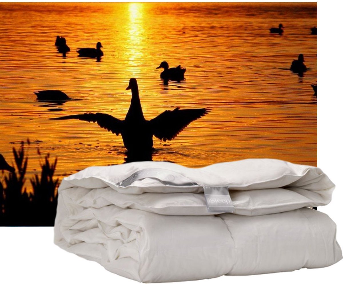 iSleep Donzen Dekbed - Enkel - 100% Dons (Warmteklasse 1) - Litsjumeaux - 240x200 cm