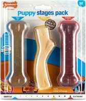 Nylabone Puppy Stages Pack Medium Medium