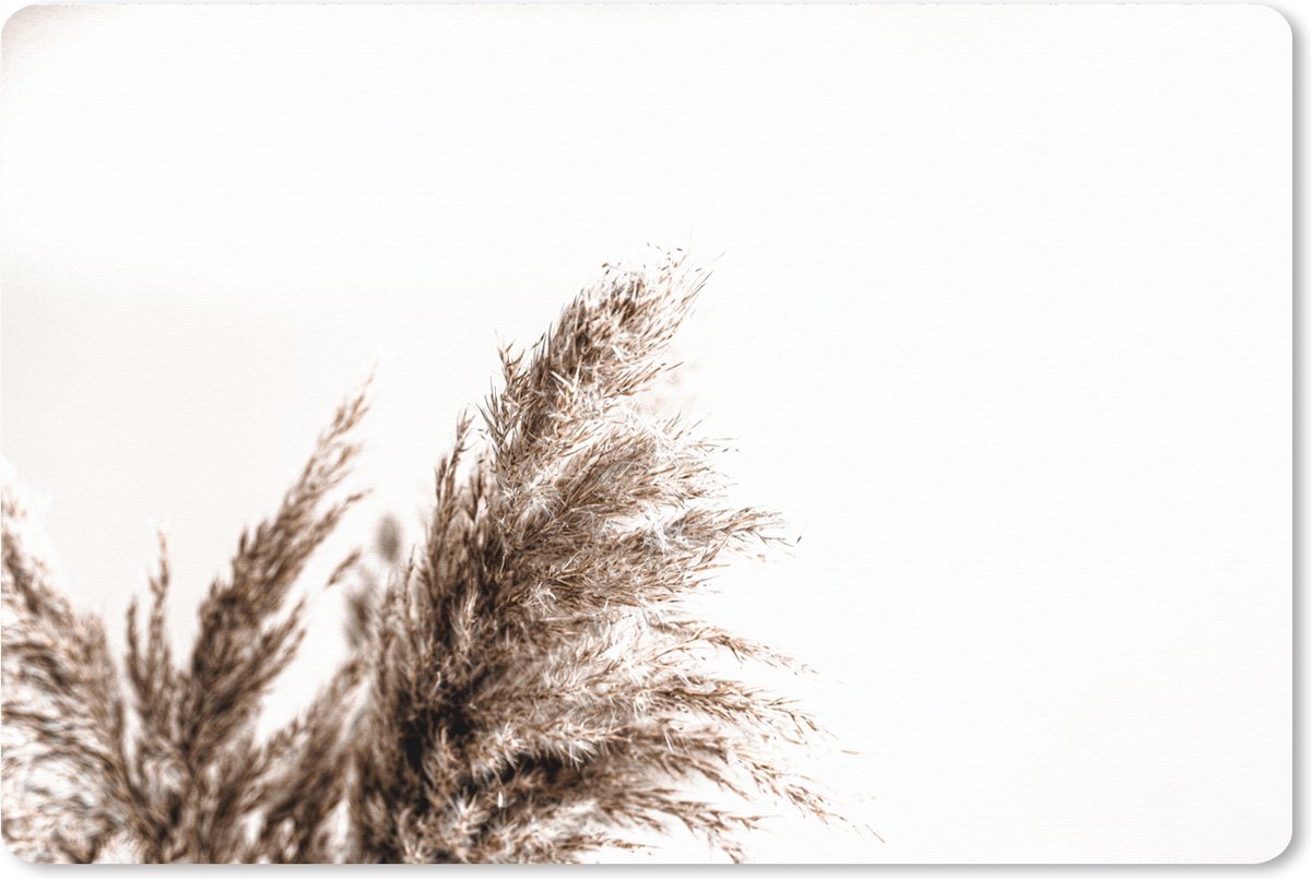 Muismat XXL 120x80 cm - Bureau onderlegger - Bureau mat Pampas pluimen - Natuur - Pampasgras - Bureaumat - Gaming mousepad xl - Bureaulegger groot - Computer deskmat
