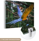 MuchoWow® Glasschilderij 160x120 cm - Schilderij acrylglas - Kleurrijke blauwkeelara tijdens de vlucht - Foto op glas - Schilderijen