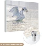 MuchoWow® Glasschilderij 160x120 cm - Schilderij acrylglas - Zwaan - Water - Vogel - Foto op glas - Schilderijen