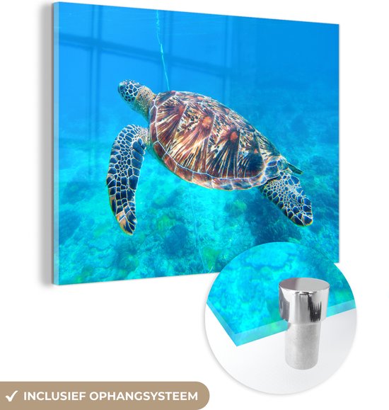 MuchoWow® Glasschilderij 160x120 cm - Schilderij acrylglas - Schildpad - Zee - Blauw - Foto op glas - Schilderijen