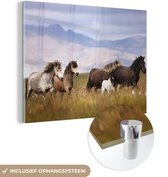 MuchoWow® Glasschilderij 80x60 cm - Schilderij acrylglas - Paarden - Gras - Bergen - Foto op glas - Schilderijen