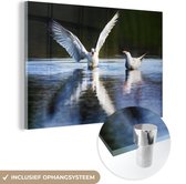 MuchoWow® Glasschilderij 30x20 cm - Schilderij acrylglas - Vogel - Water - Vleugel - Foto op glas - Schilderijen