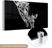 Glasschilderij - Foto op glas - Acrylglas - Wilde dieren - Giraffe - Familie - Zwart wit - 80x40 cm - Glasschilderij giraffe - Wanddecoratie glas - Decoratie woonkamer - Glasschilderij dieren