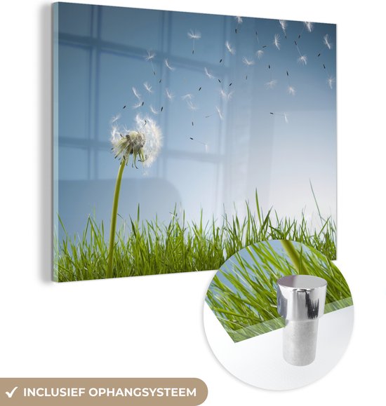 MuchoWow® Glasschilderij 80x60 cm - Schilderij acrylglas - Paardenbloemzaden die weggeblazen worden - Foto op glas - Schilderijen