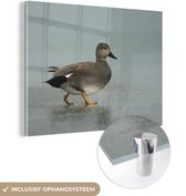 MuchoWow® Glasschilderij - Eend - Strand - Krakeend - 80x60 cm - Acrylglas Schilderijen - Foto op Glas