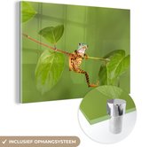 MuchoWow® Glasschilderij 60x40 cm - Schilderij acrylglas - Kikker - Tak - Groen - Foto op glas - Schilderijen