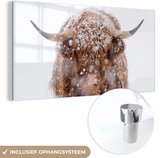 MuchoWow® Peinture sur verre 80x40 cm - Peinture sur verre acrylique - Highlander écossais - Cornes - Neige - Photo sur verre - Peintures