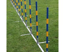 Agility Slalomset Palenset Professioneel - 12 Palen - Recht - Slalompalen - Slalom Stokken - Honden Training Sport en Wedstrijd - Agility en Behendigheid Hond - Outdoor Agility Toestel