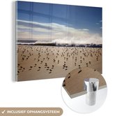 MuchoWow® Glasschilderij 60x40 cm - Schilderij acrylglas - Bonte strandlopers op de kust - Foto op glas - Schilderijen